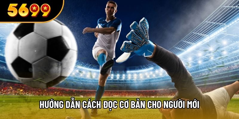 Hướng dẫn cách đọc cơ bản cho người mới